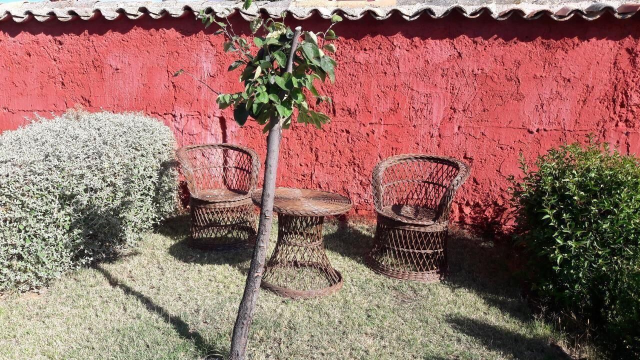 Photo of Outdoor in Picon
