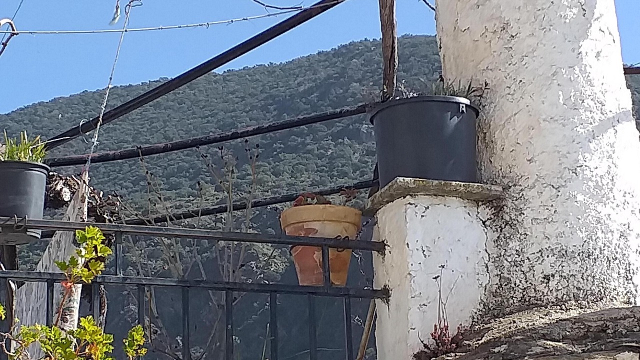 Photo of Outdoor in Ugijar