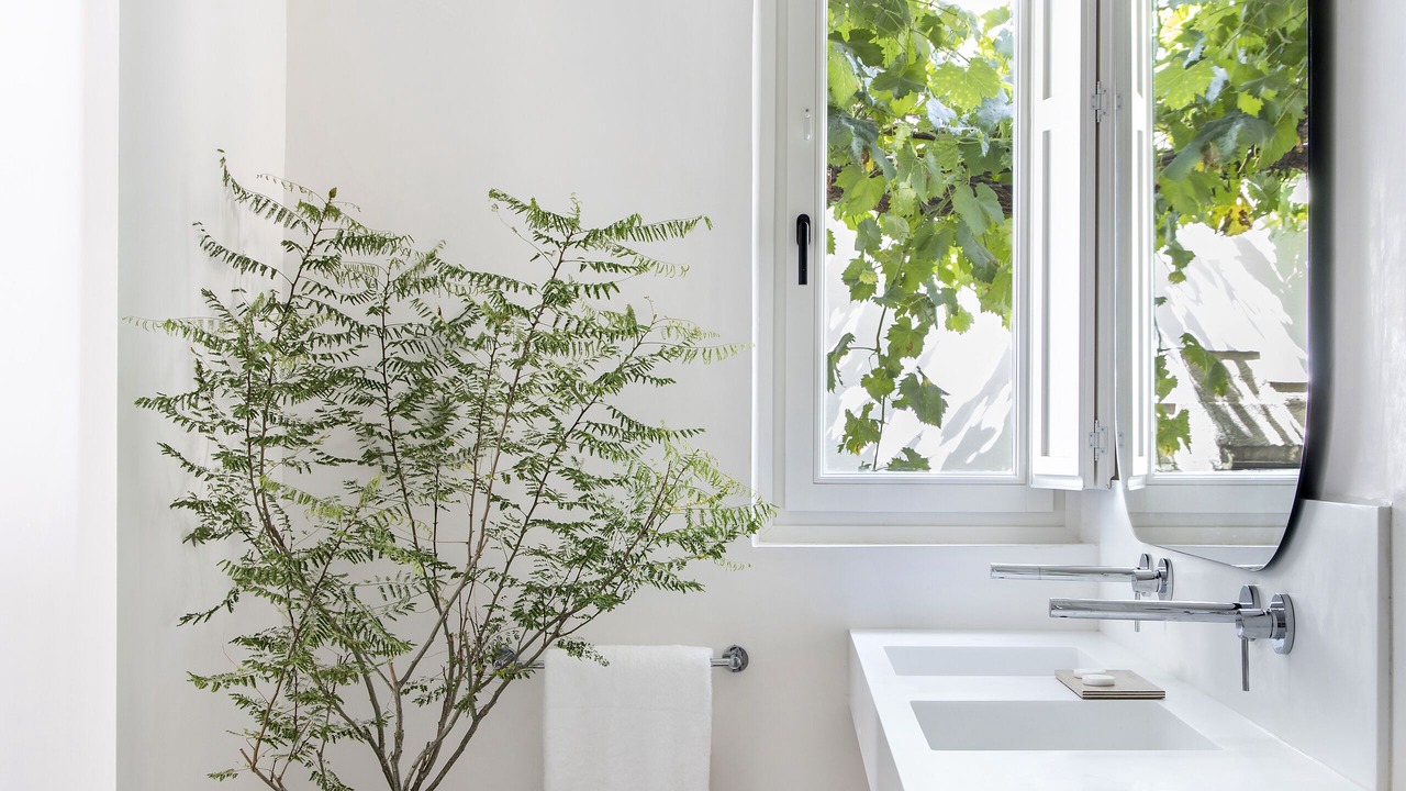 Photo of Bathroom in Jerez de la Frontera Old Town