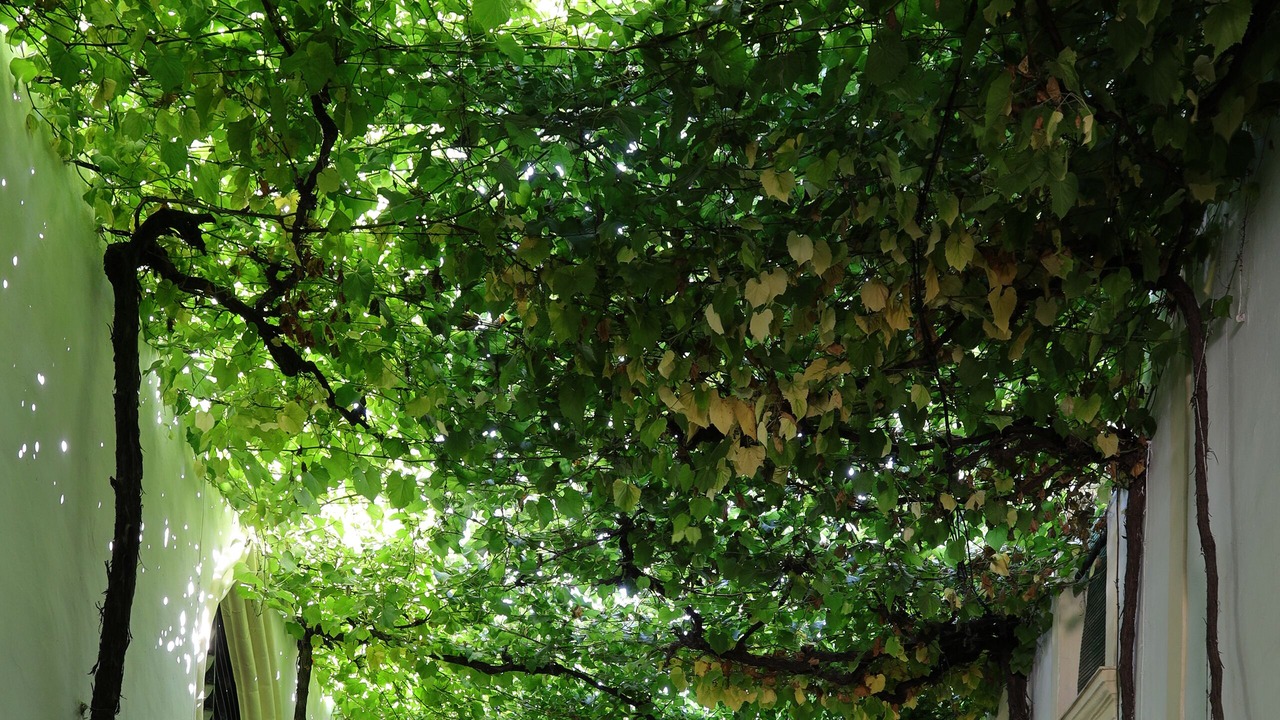Photo of Outdoor in Jerez de la Frontera Old Town