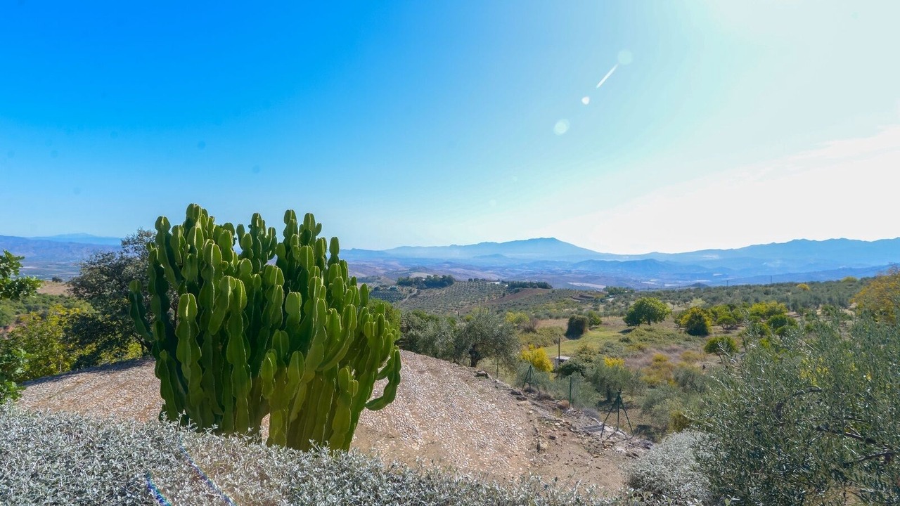 Photo of Outdoor in Alozaina