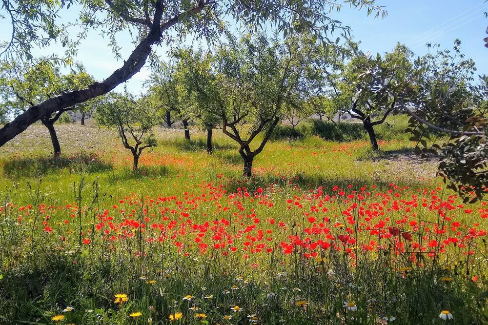 Photo of Outdoor in Velez Rubio