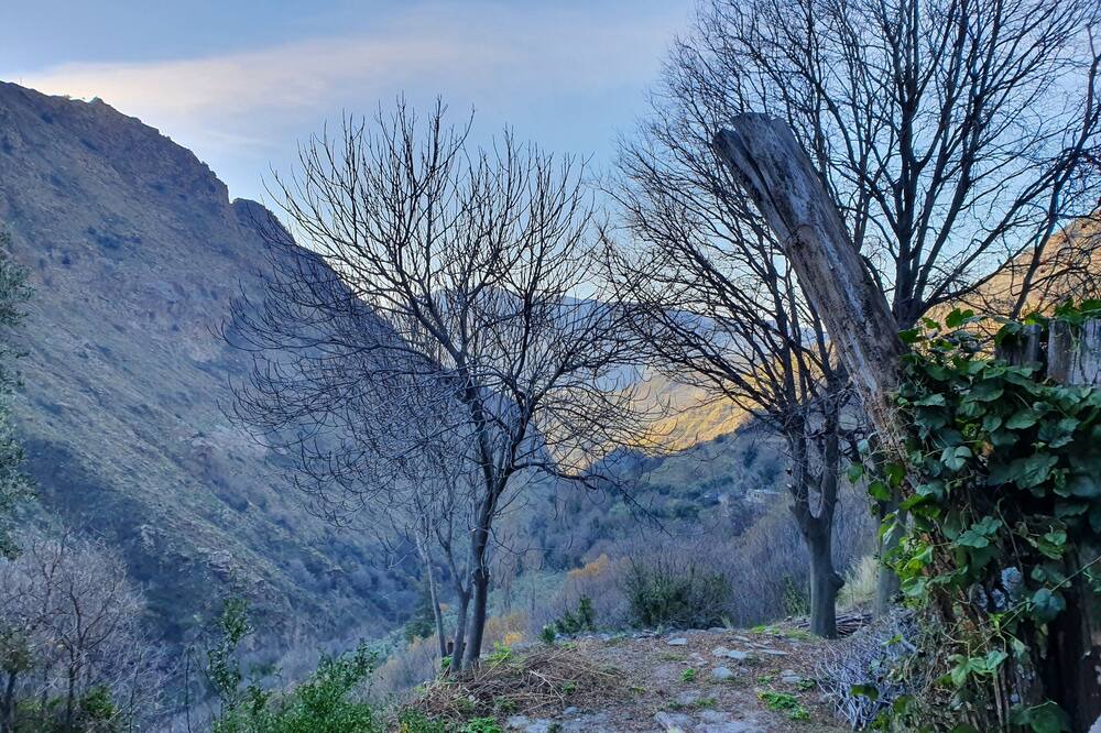 Photo of Outdoor in Pampaneira