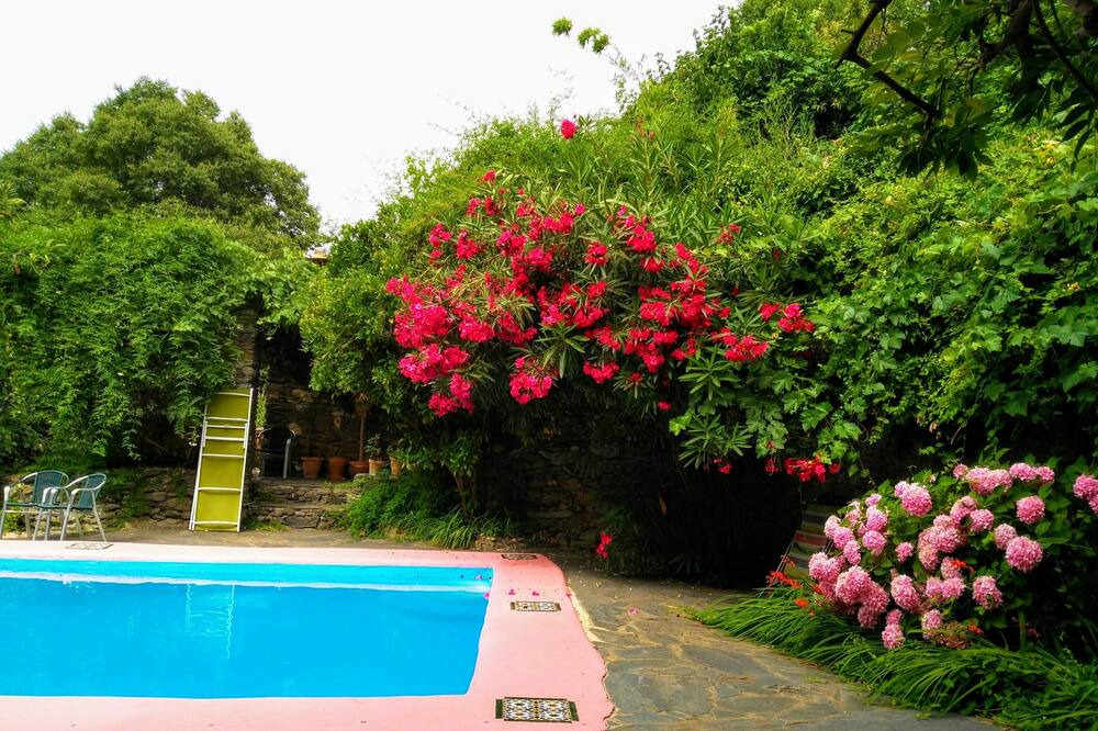 Photo of Outdoor in Pampaneira