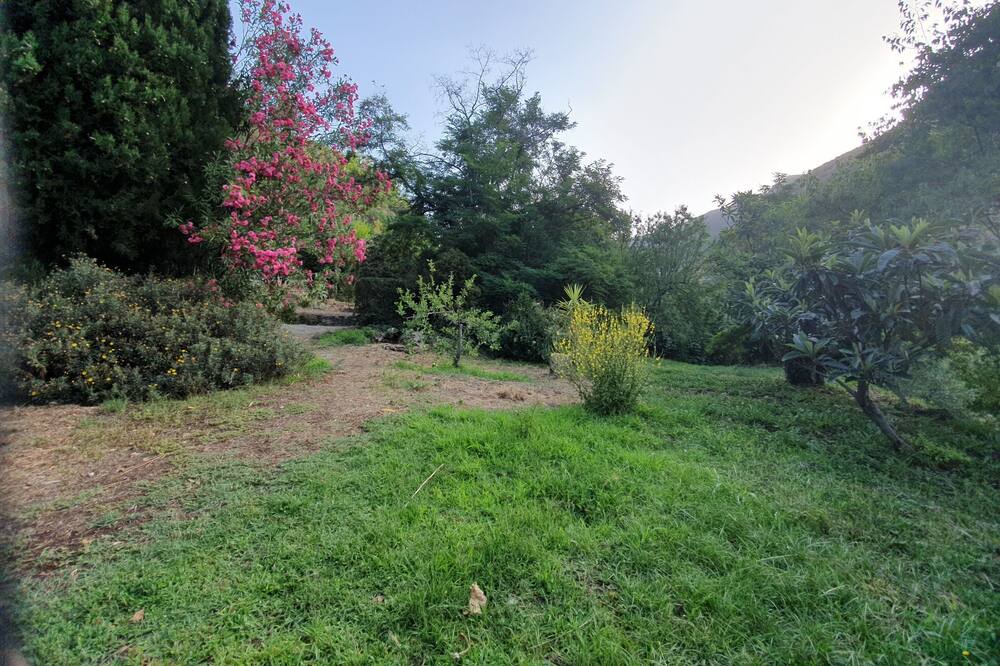 Photo of Outdoor in Pampaneira
