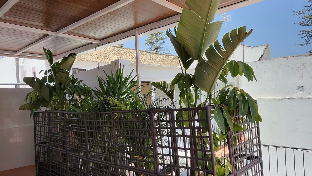 Photo of Patio Balcony in Sanlucar de Barrameda