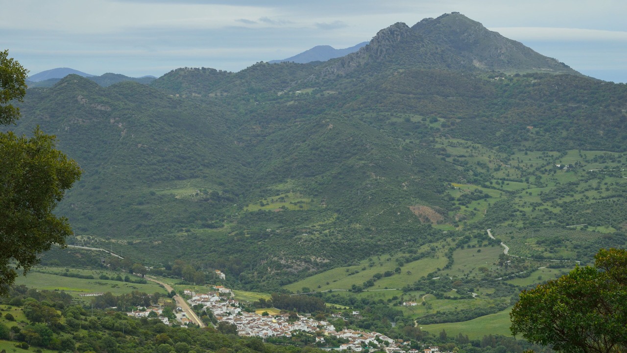 Photo of Others in El Colmenar