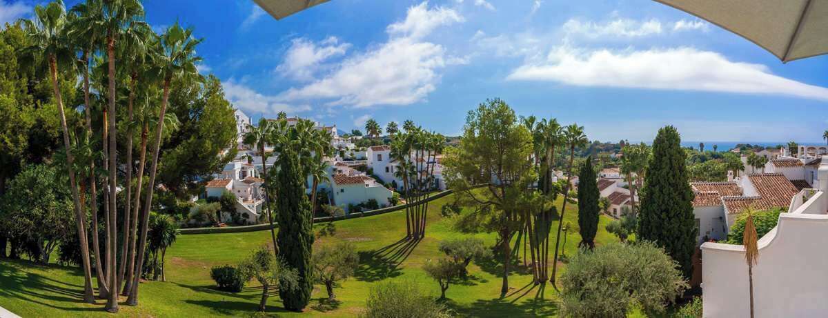 Photo of Outdoor in Oasis del Capistrano