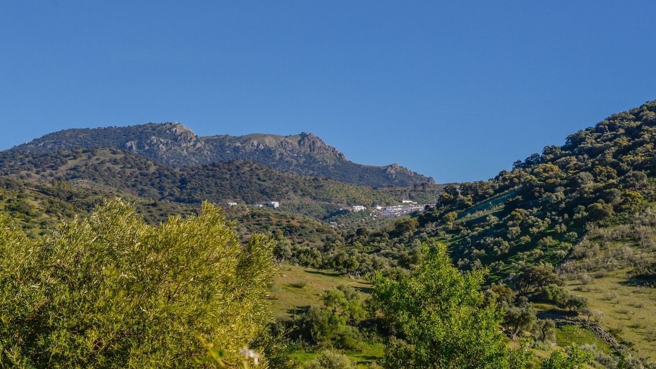 Photo of Others in Algodonales
