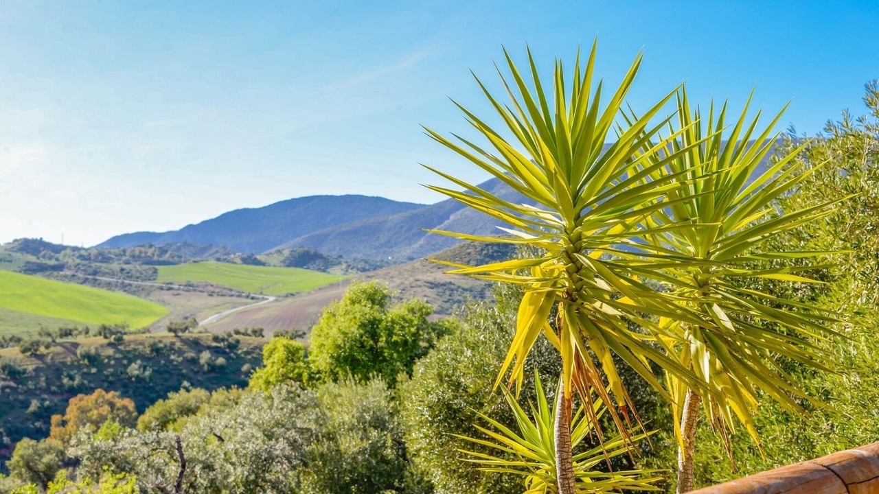 Photo of Outdoor in Algodonales