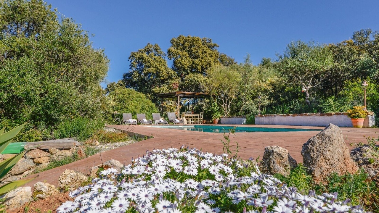 Photo of Outdoor in Algodonales