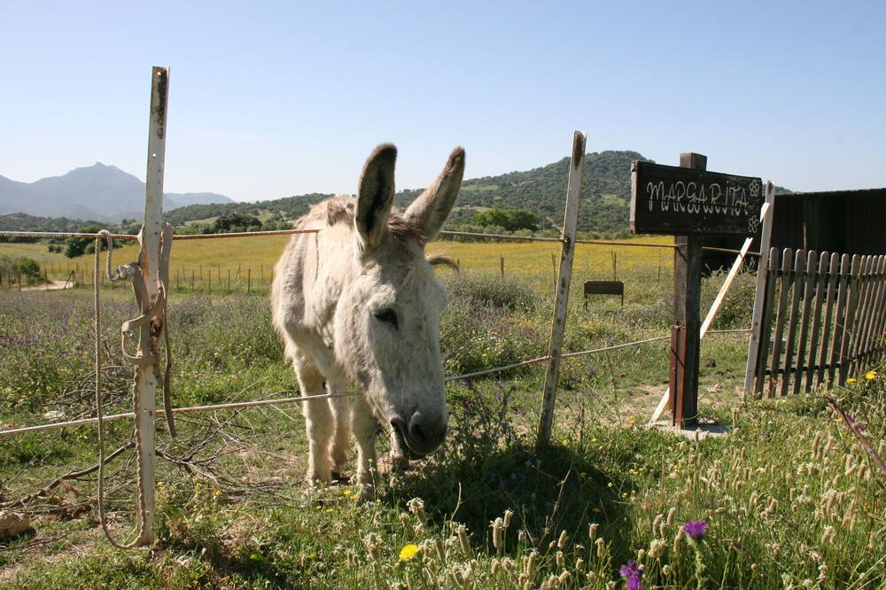 Photo of Outdoor in El Bosque