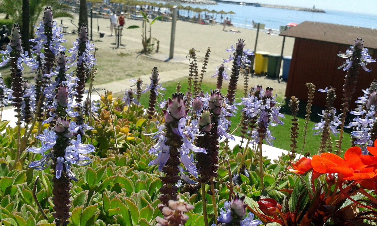 Photo of Outdoor in Benalmadena Costa