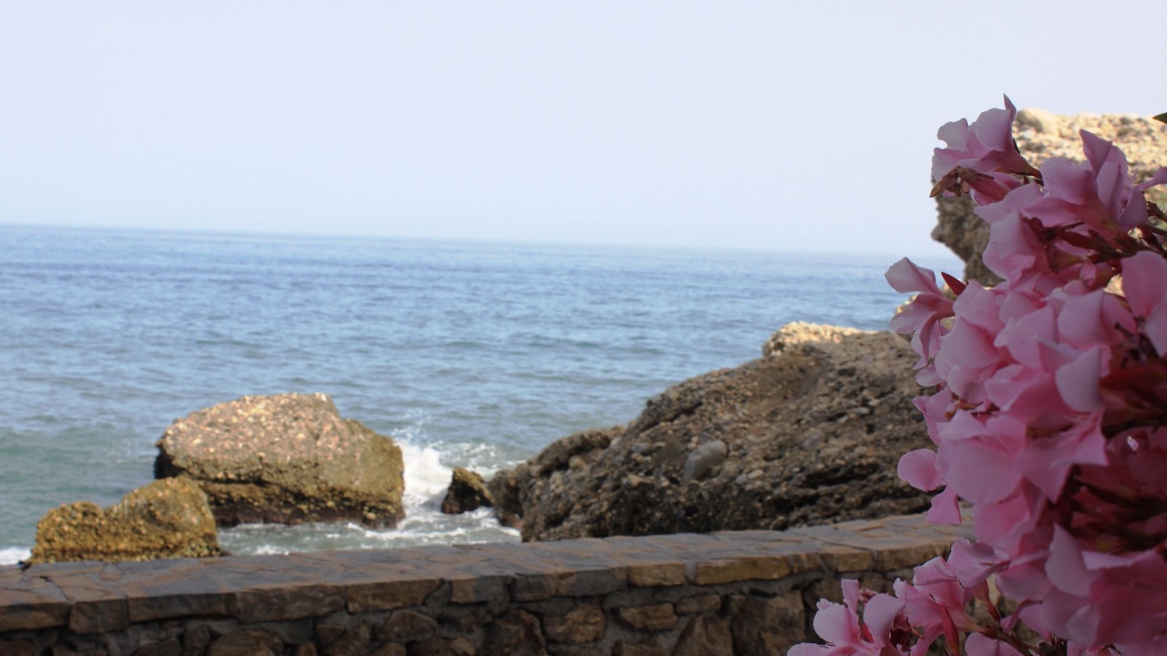 Photo of Others in Canillas de Albaida