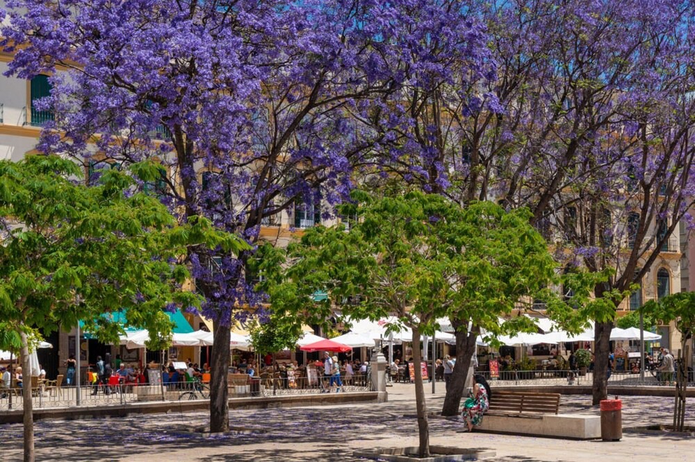 Photo of Outdoor in La Victoria
