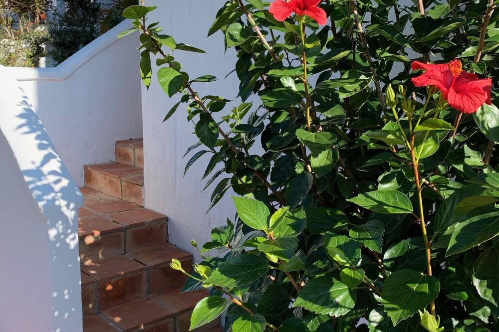 Photo of Outdoor in Oasis del Capistrano
