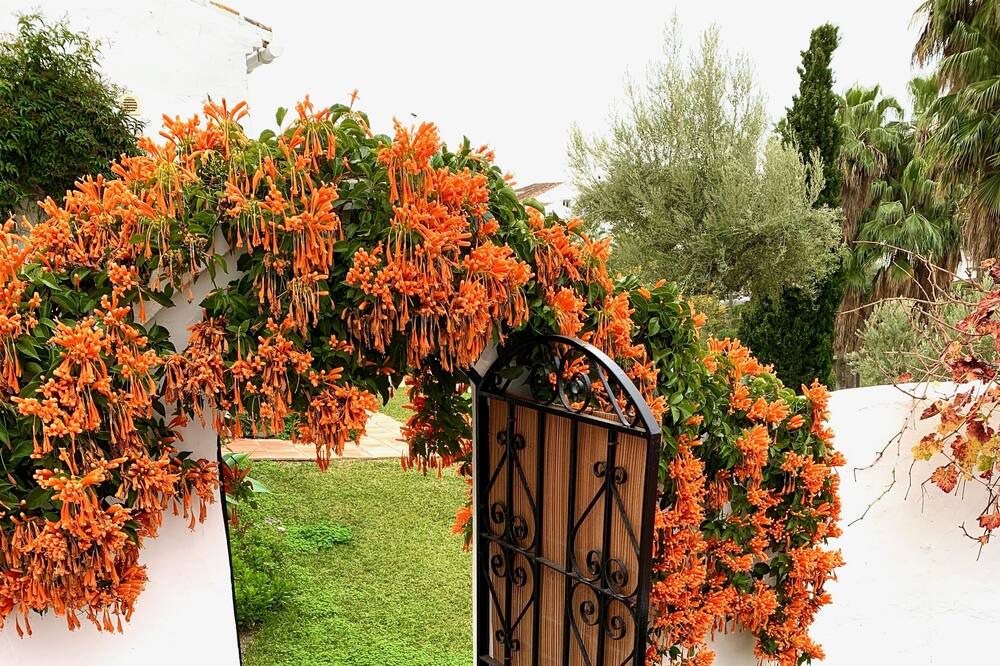 Photo of Patio Balcony in Oasis del Capistrano