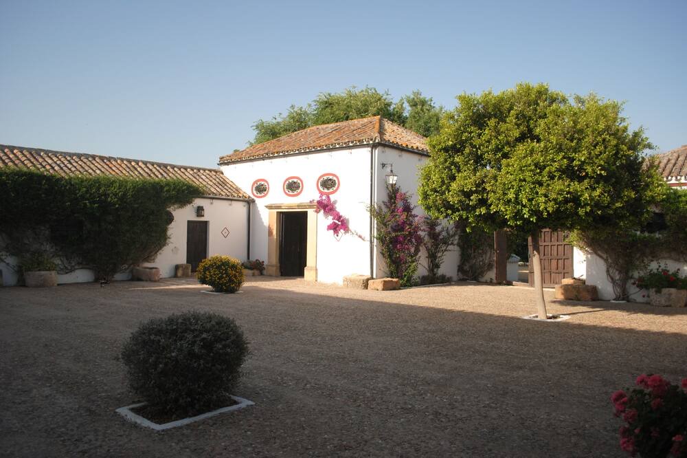 Photo of Outdoor in Dos Hermanas