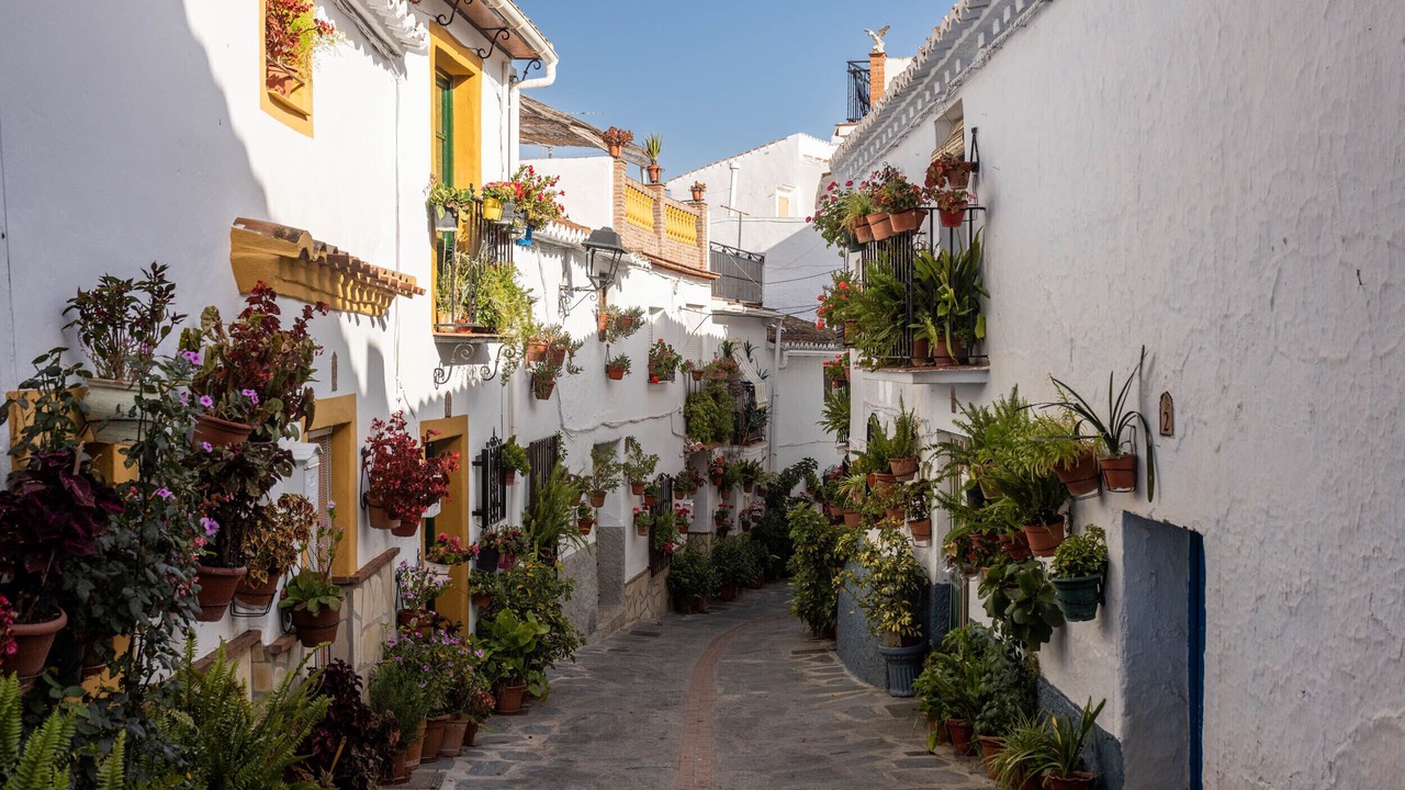 Photo of Others in Canillas de Aceituno
