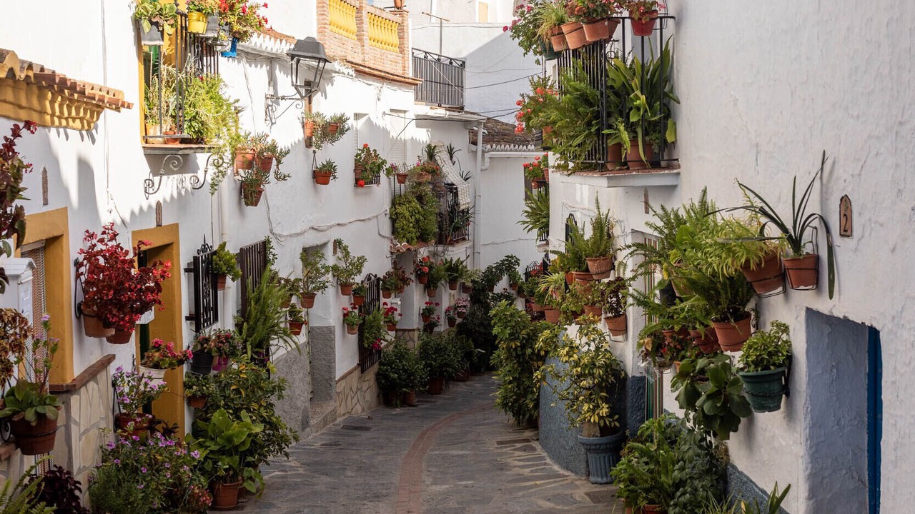 Photo of Others in Canillas de Aceituno