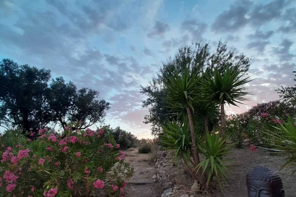 Photo of Outdoor in Lecrin