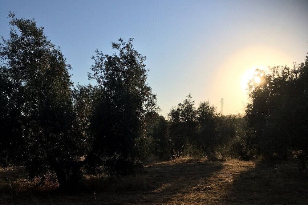 Photo of Outdoor in Villanueva de Algaidas
