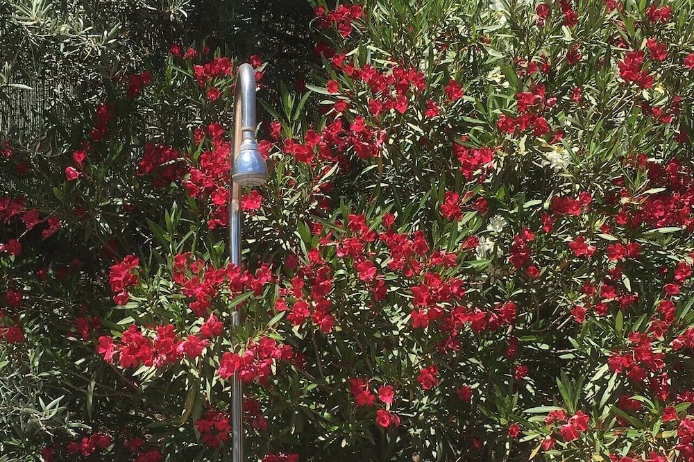 Photo of Outdoor in Villanueva de Algaidas