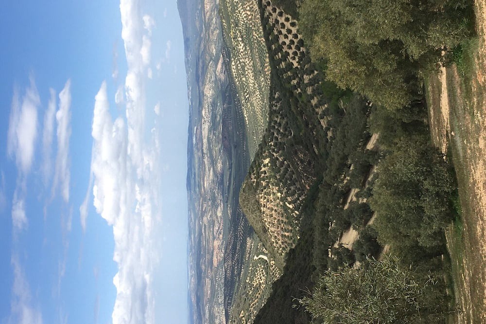 Photo of Others in Villanueva de Algaidas