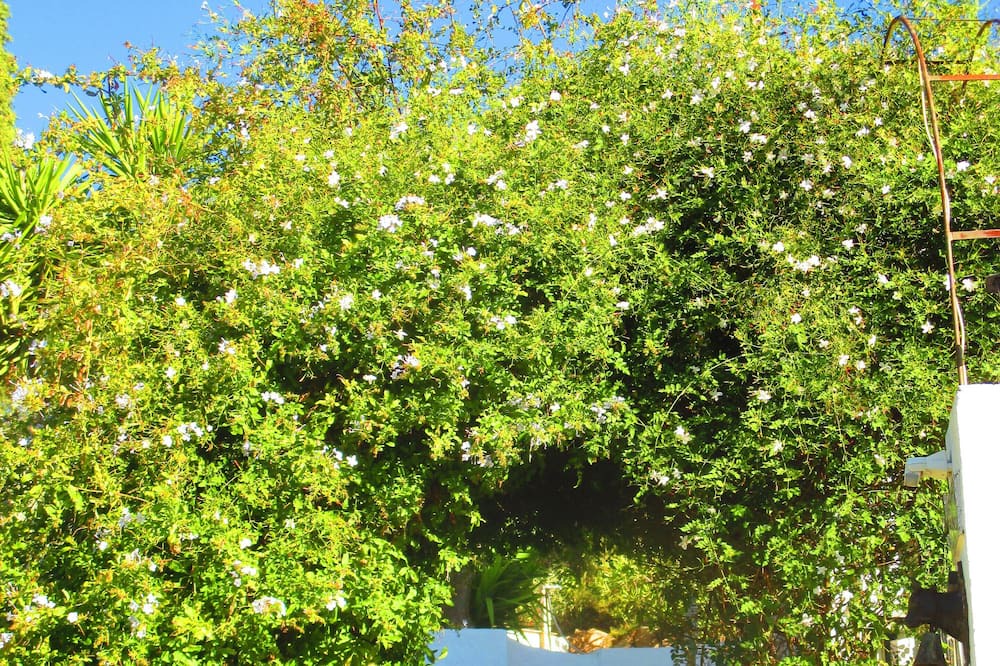 Photo of Outdoor in Villanueva de Algaidas