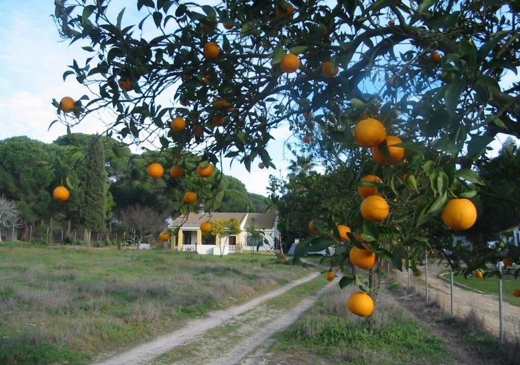 Photo of Outdoor in Lucena del Puerto