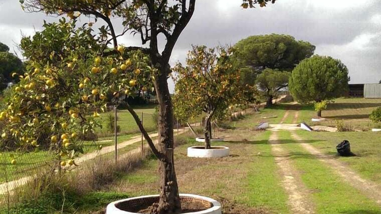 Photo of Outdoor in Lucena del Puerto