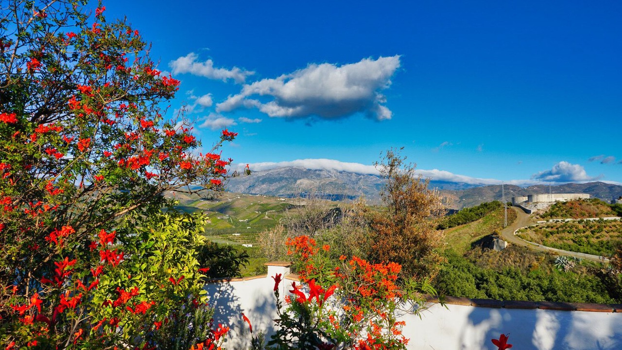 Photo of Outdoor in Benamocarra