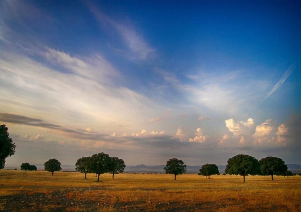 Photo of Outdoor in Ciudad Real