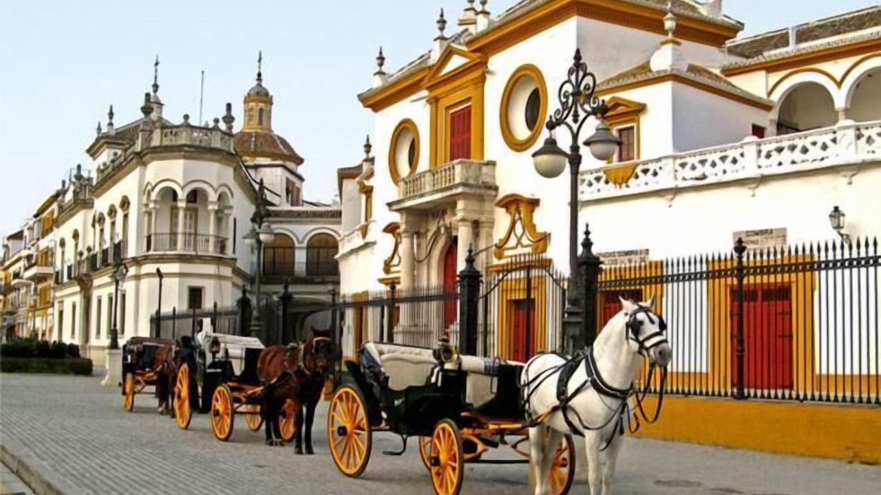 Photo of Outdoor in Aznalcazar