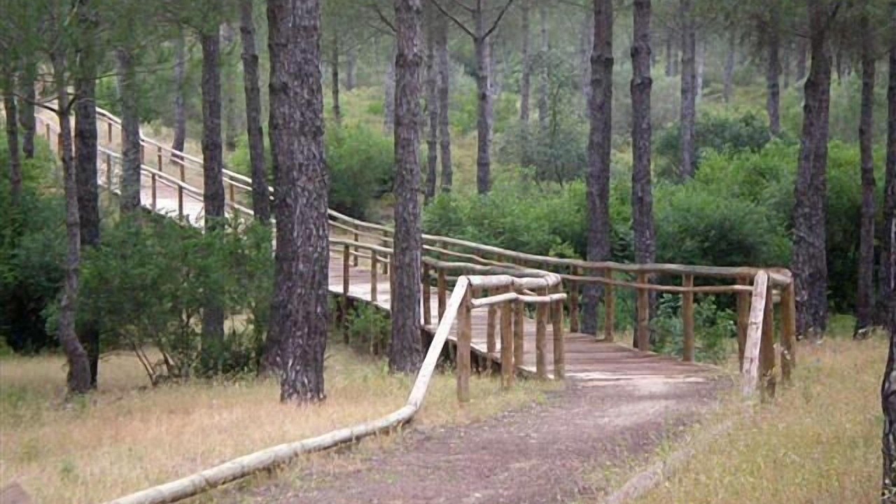 Photo of Outdoor in Aznalcazar