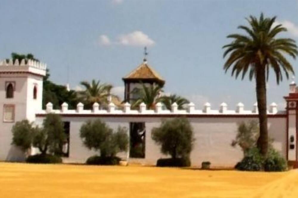 Photo of Outdoor in Utrera