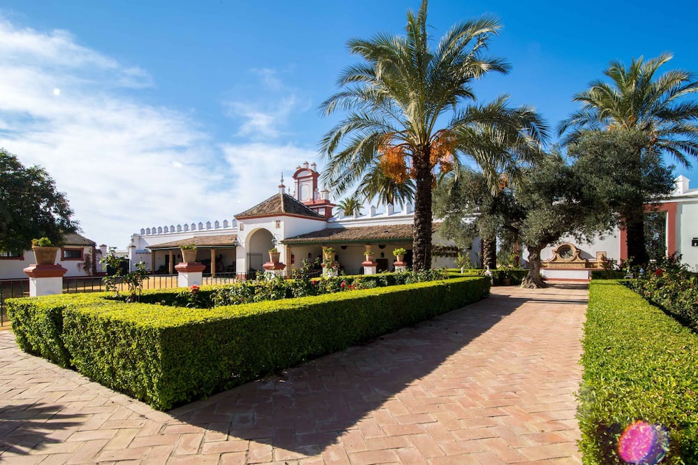 Photo of Outdoor in Utrera