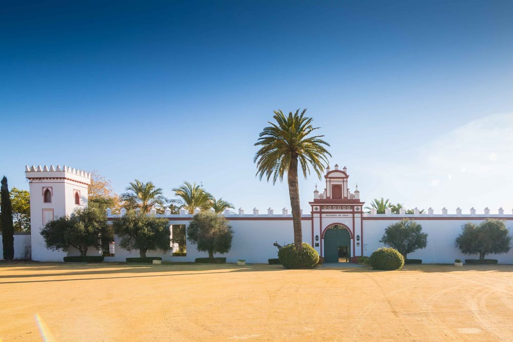 Photo of Outdoor in Utrera