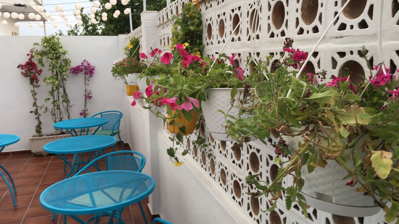 Photo of Patio Balcony in Pedregalejo