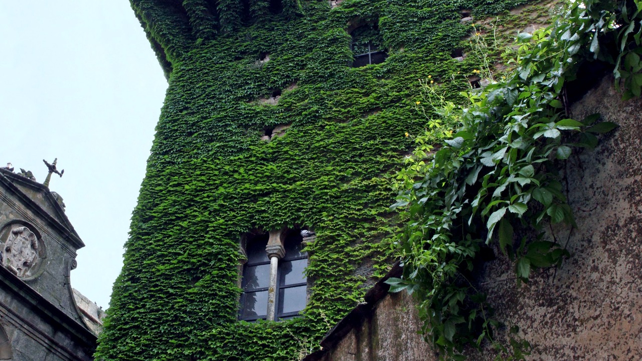 Photo of Outdoor in Caceres Old Town