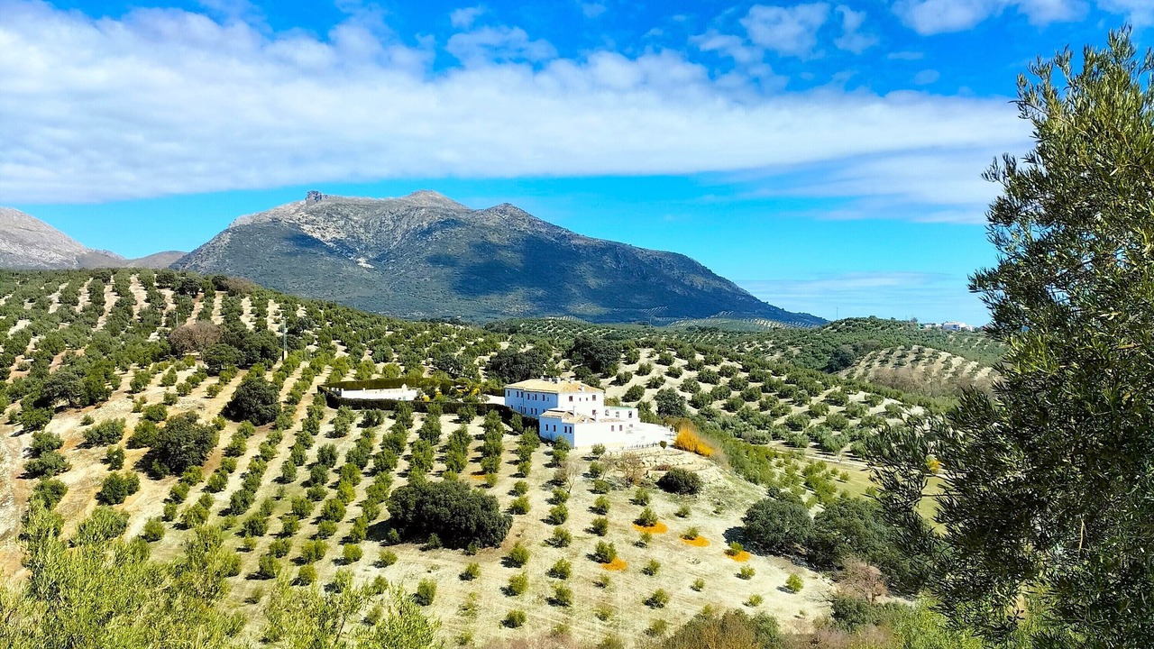 Photo of Outdoor in Las Lagunillas