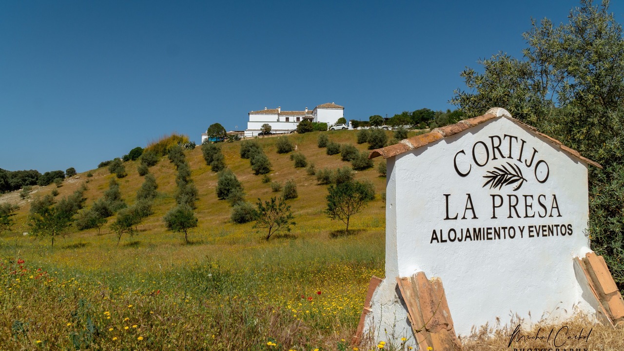 Photo of Outdoor in Las Lagunillas