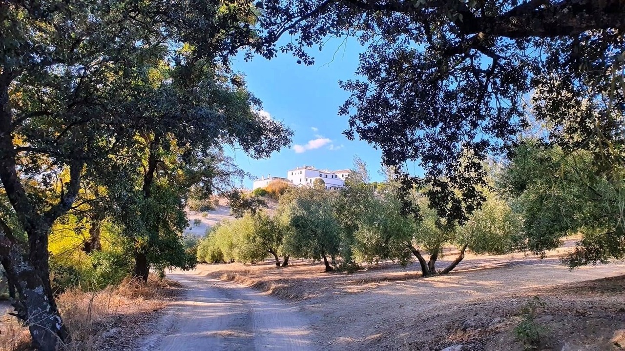 Photo of Outdoor in Las Lagunillas