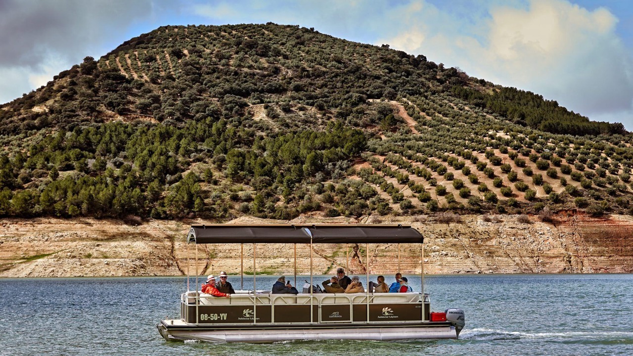 Photo of Others in Las Lagunillas