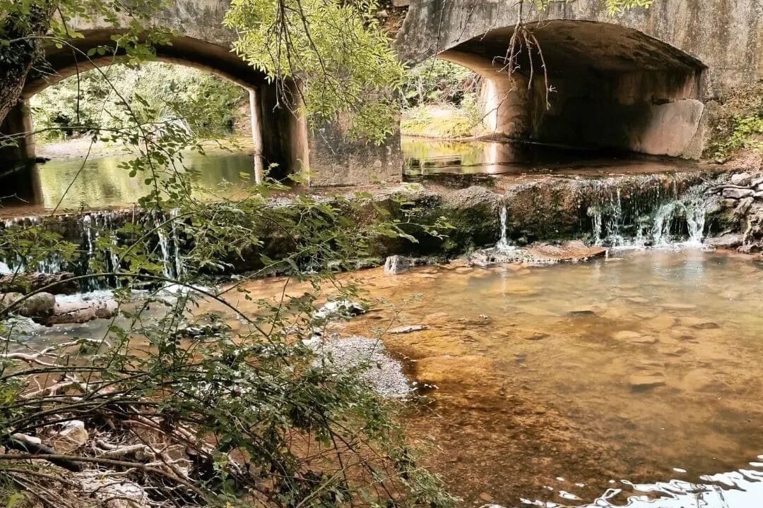 Photo of Outdoor in Las Lagunillas