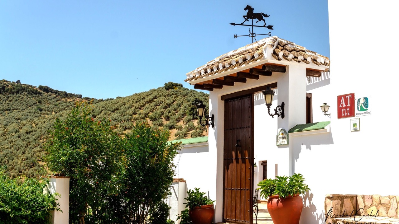 Photo of Outdoor in Las Lagunillas