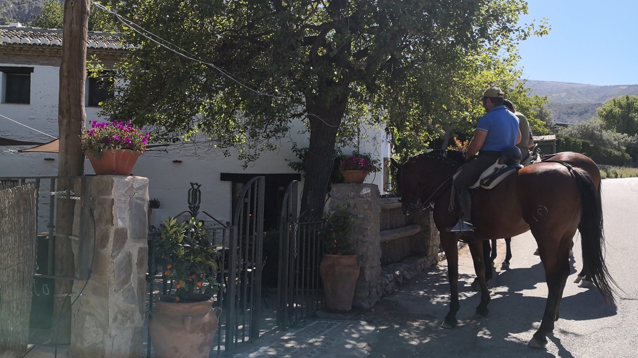 Photo of Others in Niguelas