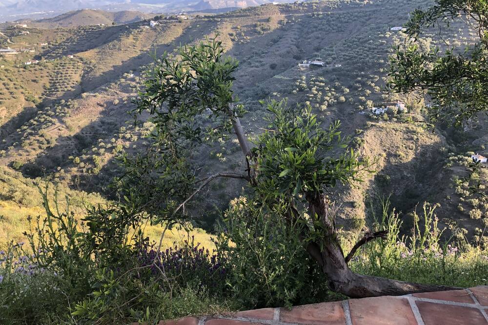 Photo of Outdoor in Canillas de Aceituno