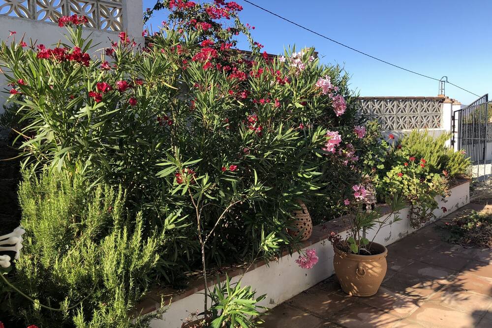 Photo of Outdoor in Canillas de Aceituno