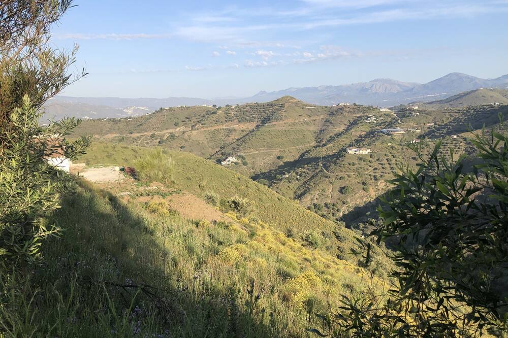 Photo of Others in Canillas de Aceituno